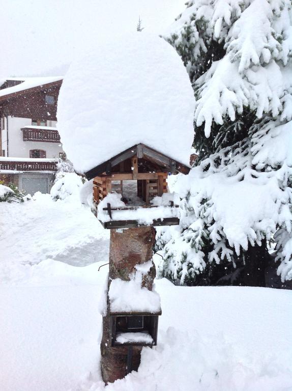 Appartement Haus Amann à Berwang Extérieur photo